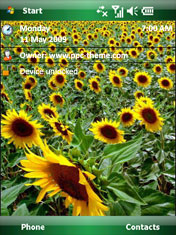 Sun Flowers ppc theme